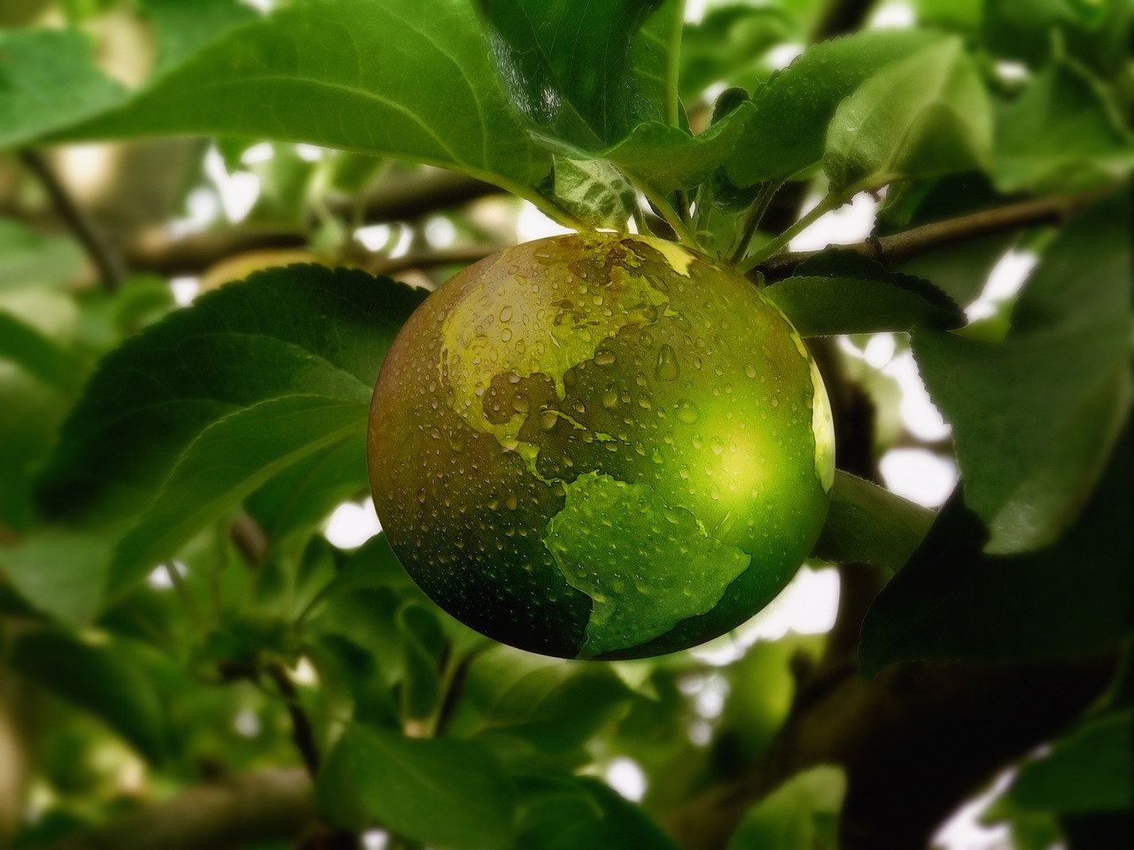 bild äpple jordglob